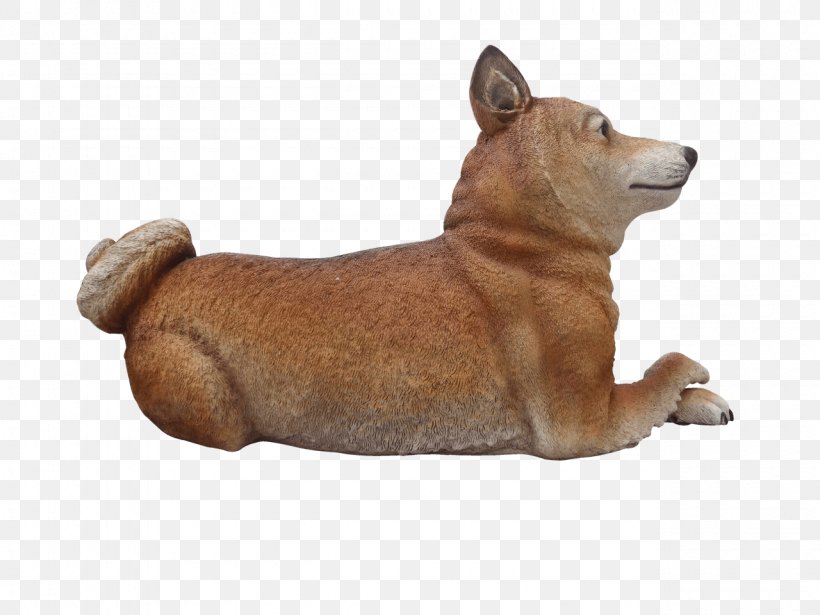 Shiba Inu Dog Breed Canaan Dog Shikoku Dog Finnish Spitz, PNG, 1280x960px, Shiba Inu, Animal, Breed, Breed Group Dog, Canaan Dog Download Free