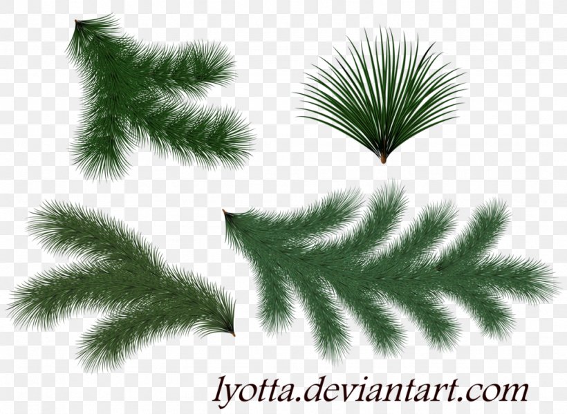Spruce Twig Pine Christmas Tree, PNG, 1024x749px, Spruce, Branch, Christmas, Christmas Ornament, Christmas Tree Download Free
