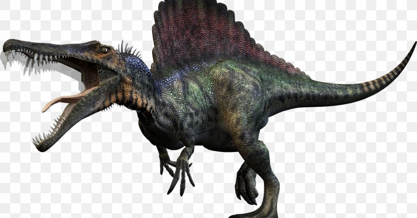 Tyrannosaurus Spinosaurus Dinosaur Size Giganotosaurus Triceratops, PNG, 1171x614px, Tyrannosaurus, Animal Figure, Carnivore, Cretaceous, Dinosaur Download Free