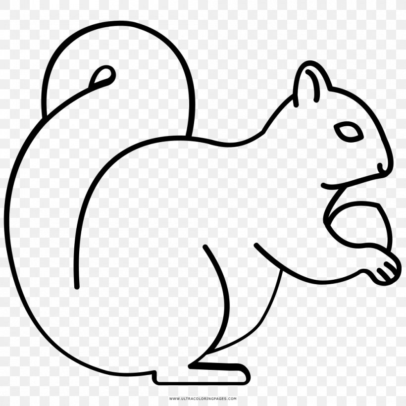 Whiskers Squirrel Rodent Drawing Coloring Book, PNG, 1000x1000px, Watercolor, Cartoon, Flower, Frame, Heart Download Free