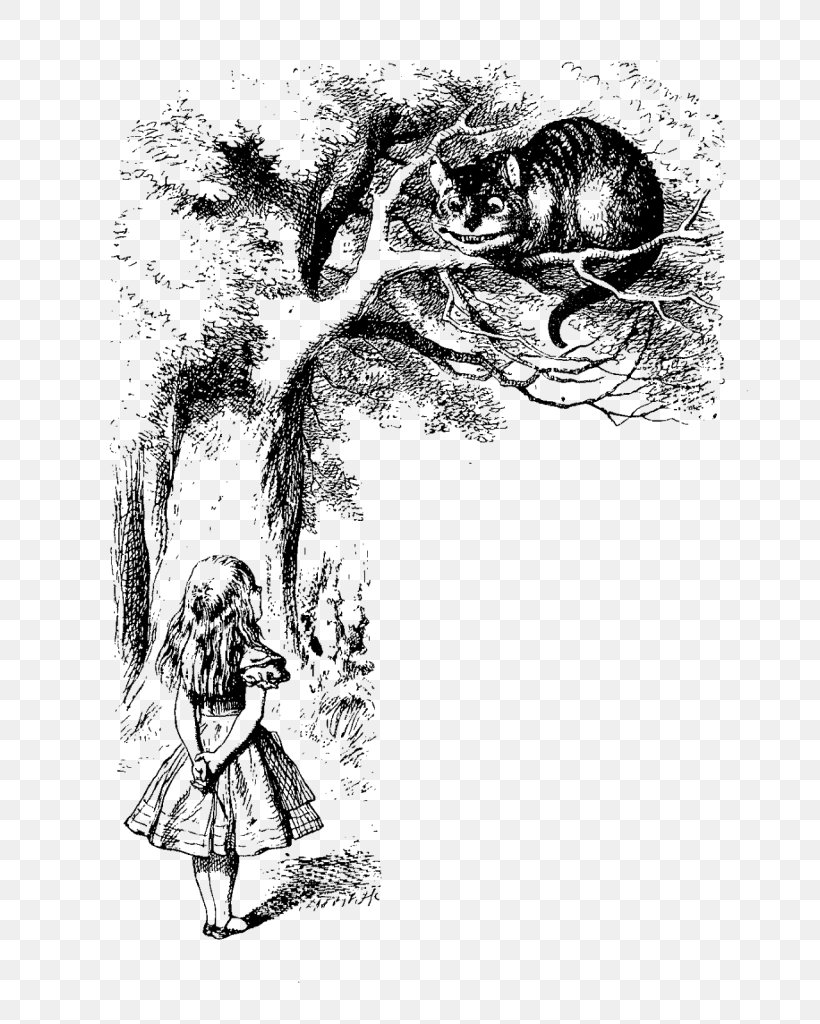 Alice's Adventures In Wonderland Cheshire Cat The Mad Hatter Red Queen ...