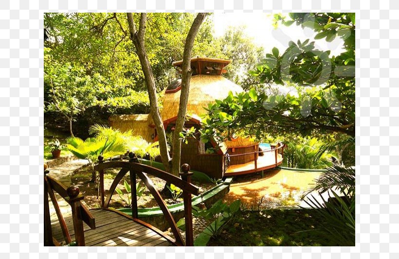 Backyard Property Patio Resort Meter, PNG, 800x533px, Backyard, Garden, Hacienda, Landscape, Landscaping Download Free