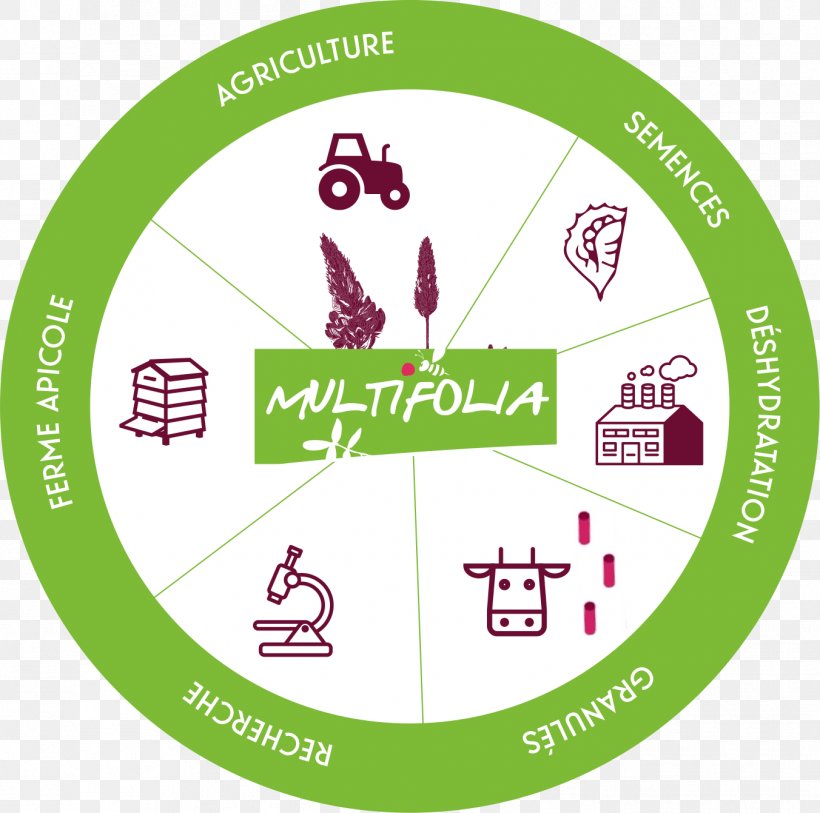 Cooperative Organization Multifolia Partnership Industry, PNG, 1352x1341px, Cooperative, Area, Bovinicoltura, Brand, Diagram Download Free