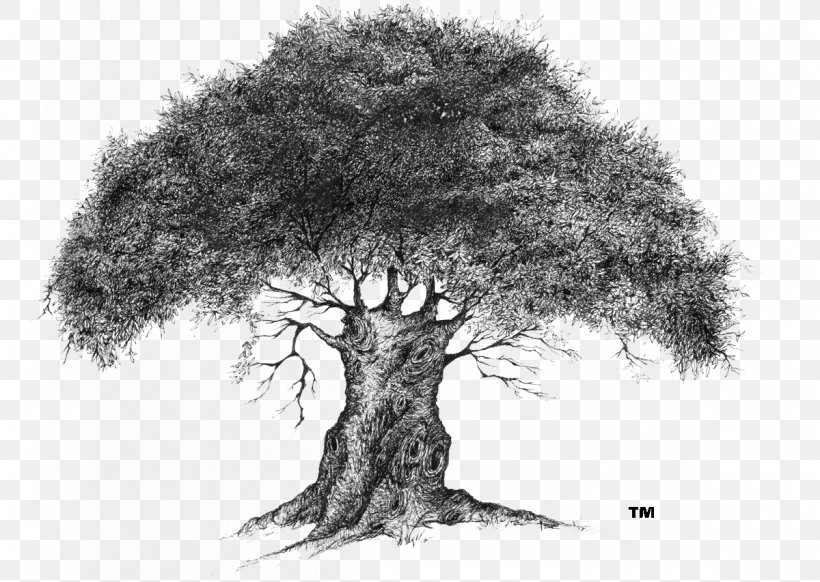 Lone Tree /m/02csf Drawing Company, PNG, 1200x853px, Lone Tree, Black And White, Branch, Business, Child Download Free