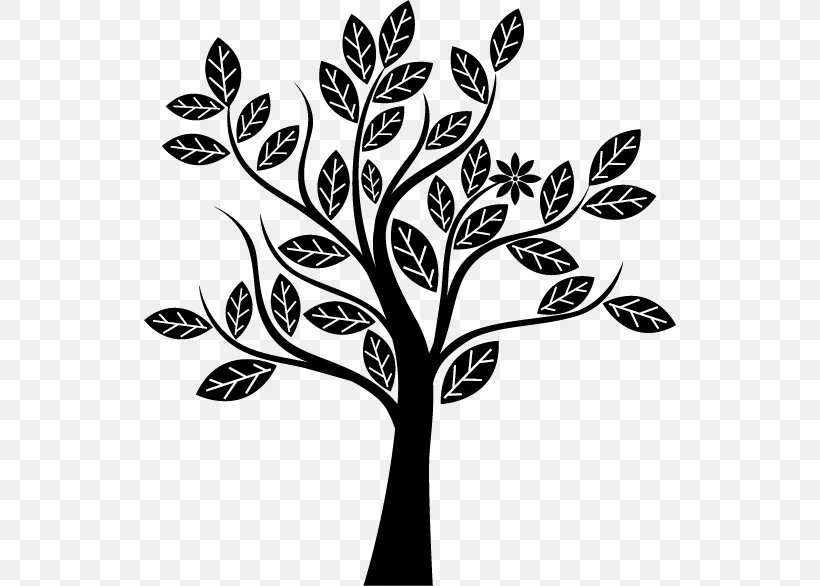 Tree Silhouette, PNG, 532x586px, Tree, Black, Black And White, Branch, Color Download Free