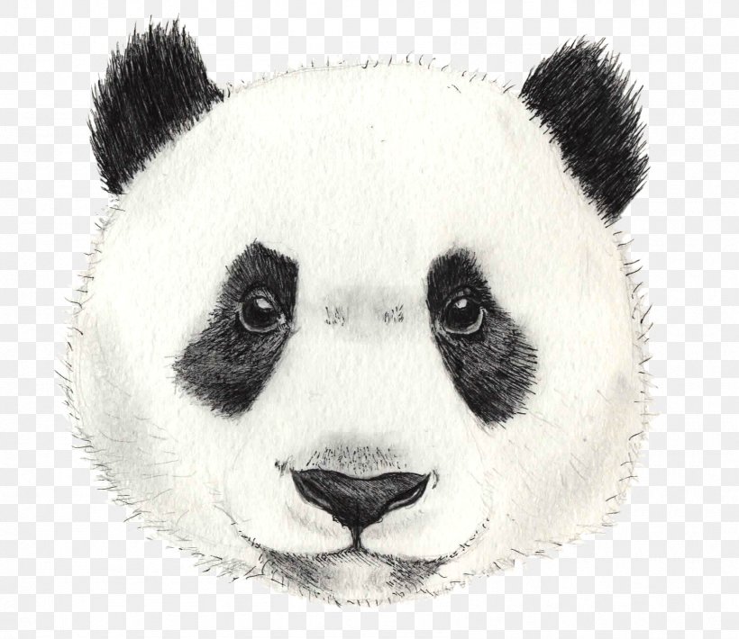 Watercolor Animal, PNG, 1689x1463px, Giant Panda, Animal Figure, Bear, Cuteness, Drawing Download Free
