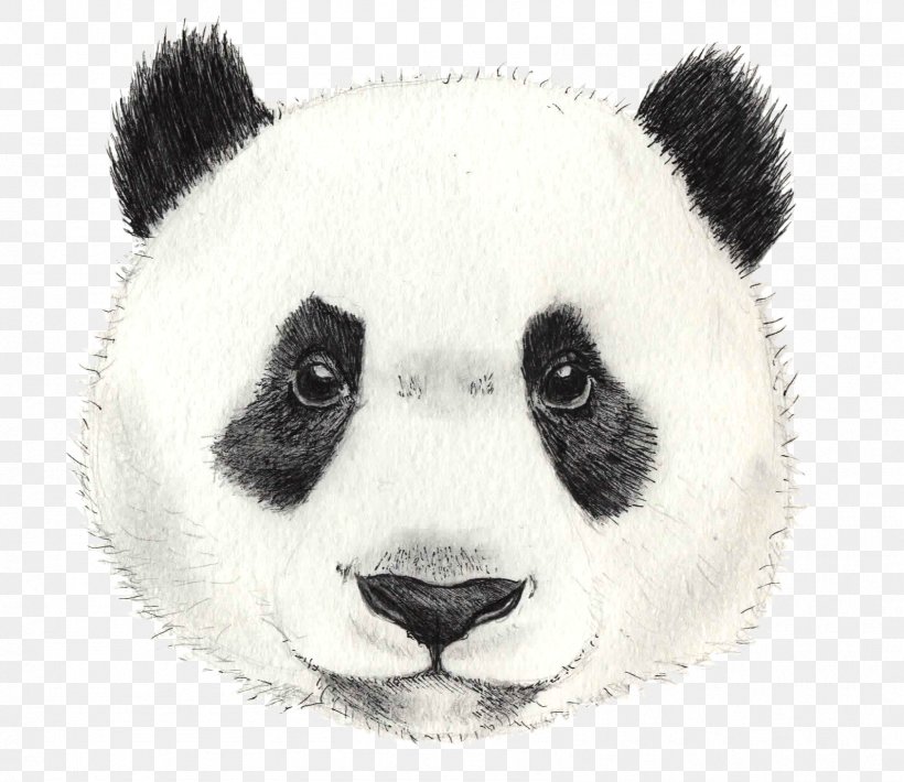 Watercolor Animal, PNG, 1689x1463px, Giant Panda, Animal Figure, Bear ...