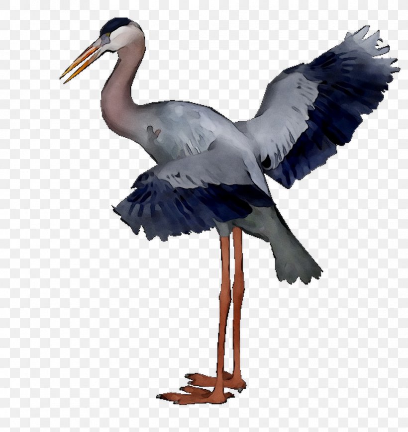 White Stork Beak Wader Neck, PNG, 1061x1125px, White Stork, Animal Figure, Beak, Bird, Ciconiiformes Download Free
