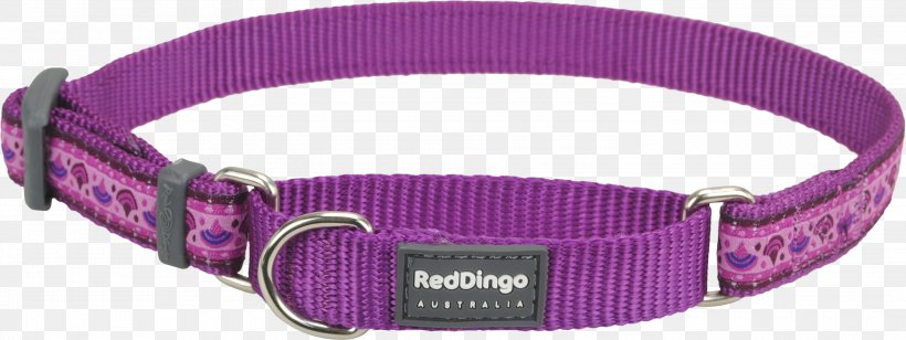 Dog Collar Martingale, PNG, 3000x1129px, Dog, Chain, Choker, Collar, Daisy Chain Download Free