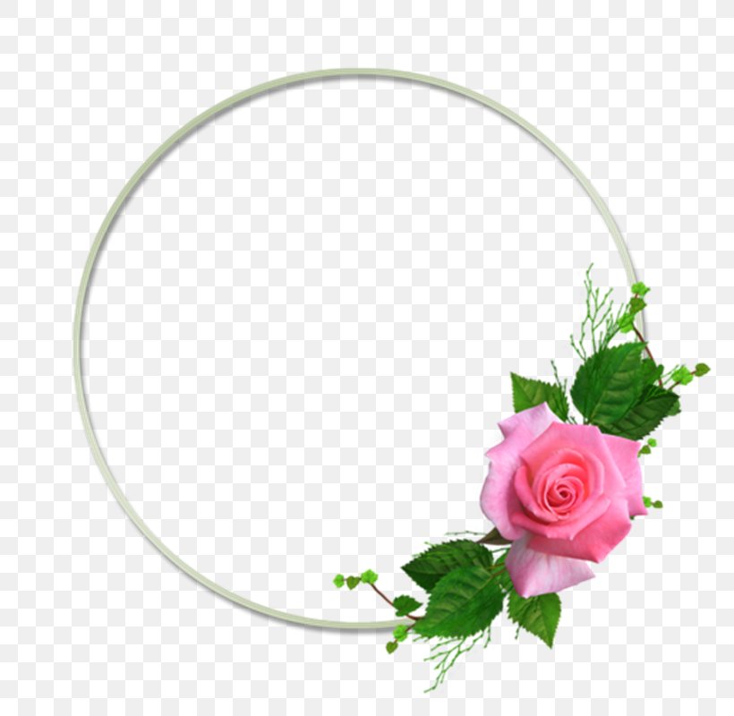Garden Roses Picture Frames Flower Floral Design, PNG, 800x800px, Garden Roses, Cut Flowers, Decorative Arts, Floral Design, Floristry Download Free