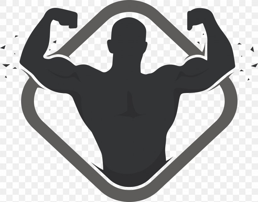 Logo Bodybuilding Physical Fitness Fitness Centre, PNG, 3264x2563px, Logo, Arm, Bodybuilding, Dumbbell, Fitness Centre Download Free