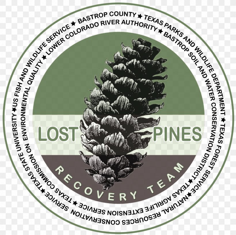 Pine Family Conifer Cone Prague Panthers Clip Art, PNG, 1943x1935px, Pine, Conifer, Conifer Cone, Label, Material Download Free