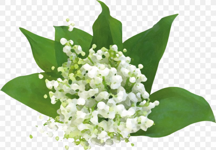 Clip Art Lily Of The Valley Image Desktop Wallpaper, PNG, 1200x837px, Lily Of The Valley, Bouquet, Drawing, Flower, Flower Bouquet Download Free