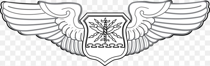 United States Of America Flight Nurse Badge Aircrew Badge, PNG, 1920x612px, Watercolor, Cartoon, Flower, Frame, Heart Download Free