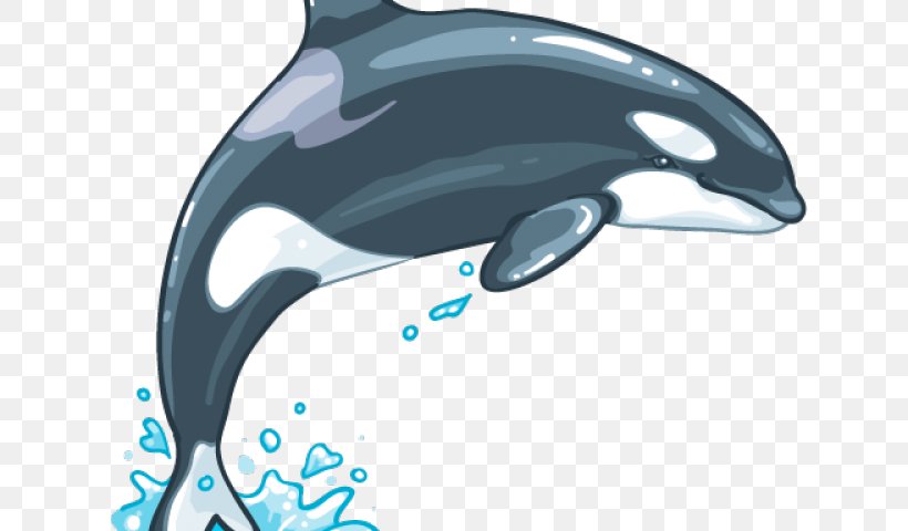 Whale Cartoon, PNG, 640x480px, Killer Whale, Blue Whale, Bottlenose Dolphin, Cetacea, Cetaceans Download Free