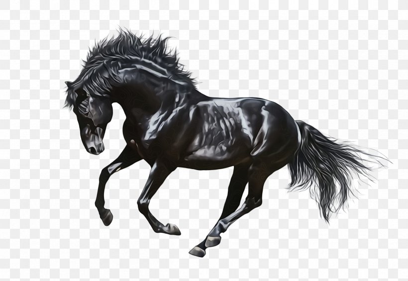 Horse Animal Figure Stallion Mane Mare, PNG, 2408x1660px, Watercolor, Animal Figure, Blackandwhite, Drawing, Horse Download Free