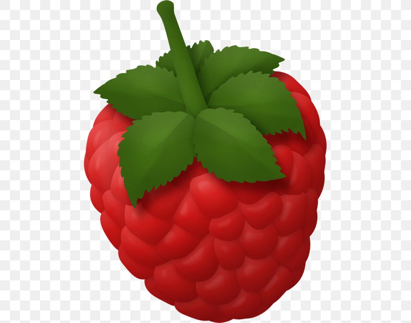 Strawberry Fruit Food Vegetable Clip Art, PNG, 485x645px, Strawberry, Berry, Cranberry, Drawing, Drink Download Free