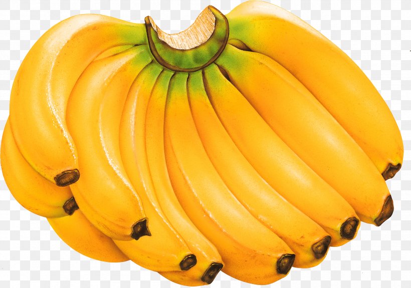 Cooking Banana Fruit, PNG, 2517x1767px, Banana, Banana Family, Calabaza, Cavendish Banana, Cooking Banana Download Free