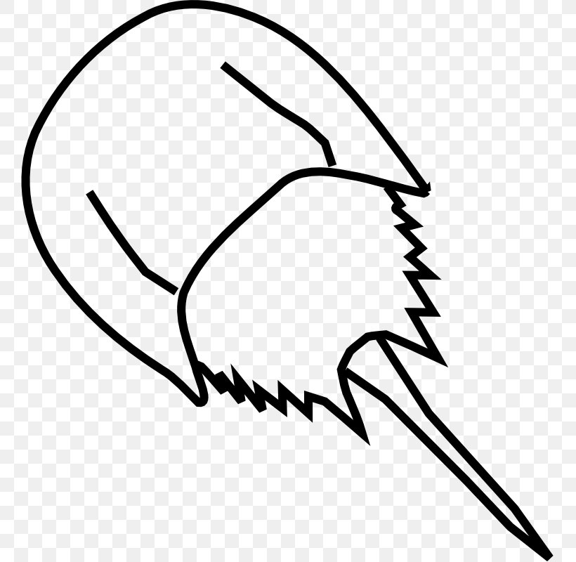 Horseshoe Crab Seashell Clip Art, PNG, 759x800px, Horseshoe Crab, Area, Ball, Black, Black And White Download Free