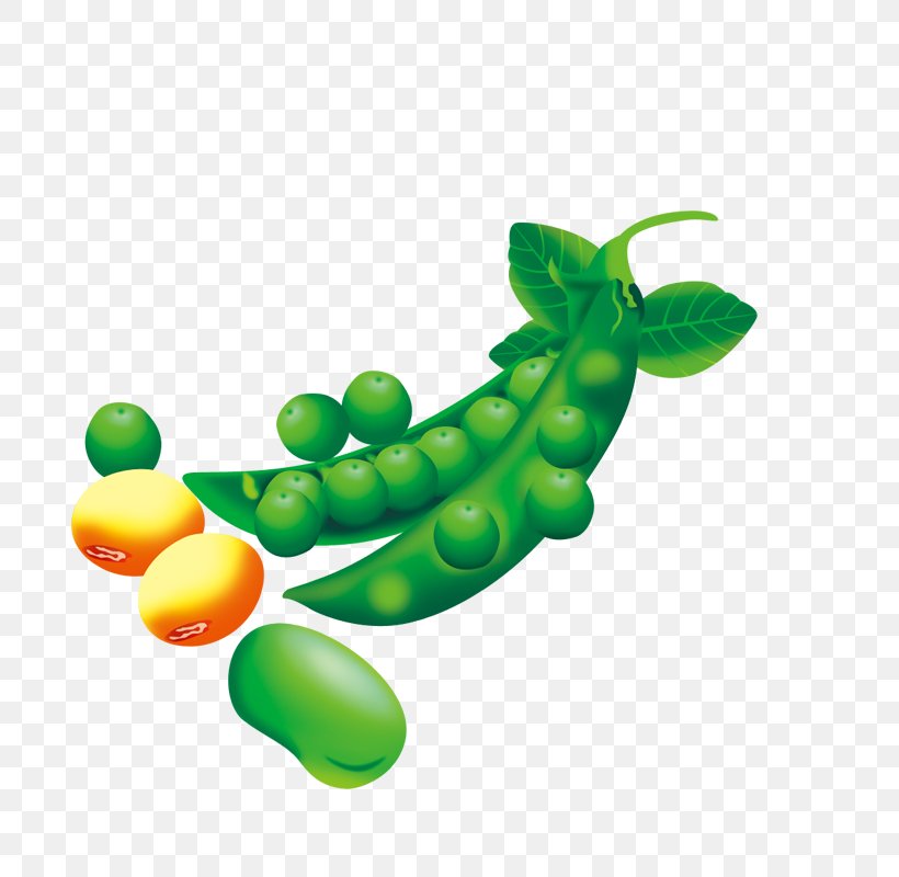 Pea Edamame Soybean Lima Bean, PNG, 800x800px, Lima Bean, Bean, Broad Bean, Common Bean, Edamame Download Free