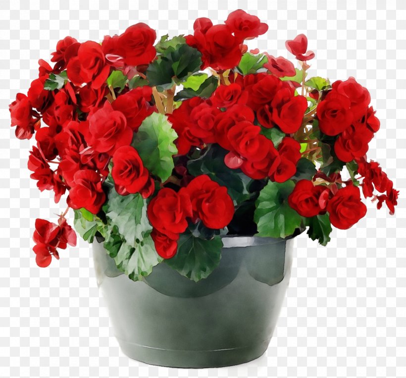 Rose, PNG, 1200x1117px, Watercolor, Bouquet, Cut Flowers, Flower, Flowering Plant Download Free