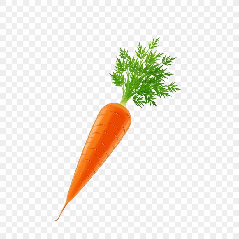 Vegetable Carrot Euclidean Vector, PNG, 2953x2953px, Vegetable, Baby Carrot, Carrot, Food, Fruit Download Free