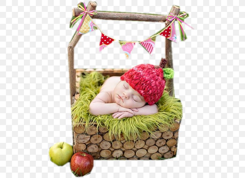 Infant Food Gift Baskets Advertising 0 Png 500x598px 2014 2017