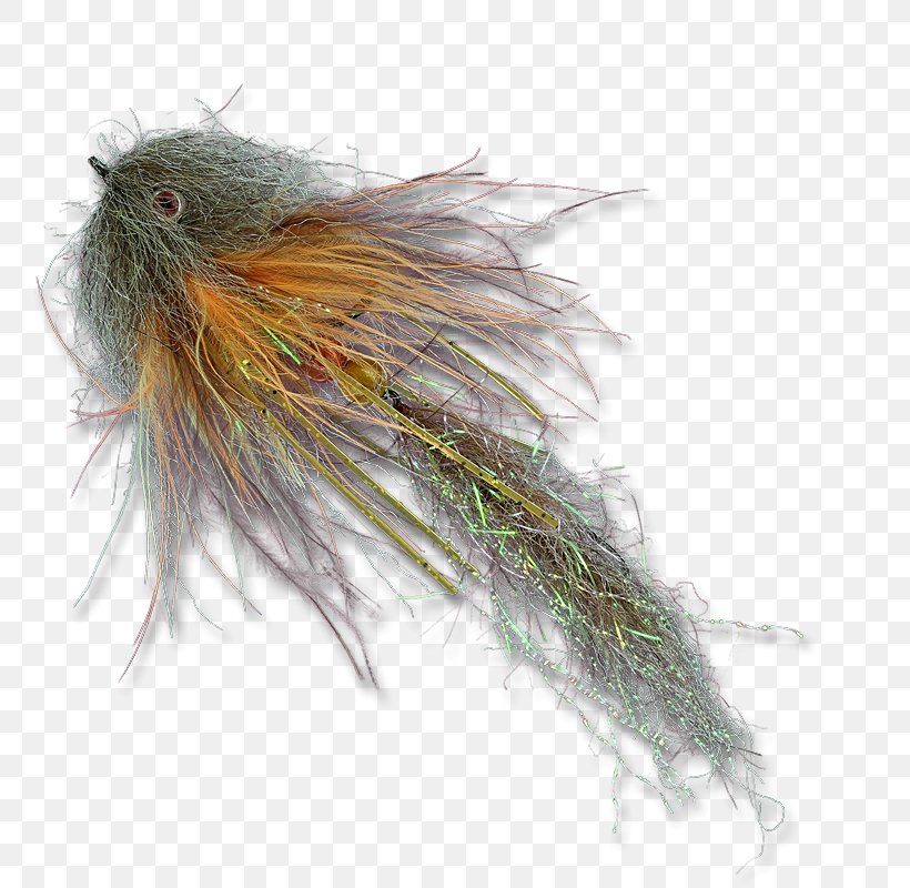 Leech Fly Fishing The Fly Shop Bait Fish, PNG, 800x800px, Leech, Artificial Fly, Bait, Bait Fish, Blood Download Free