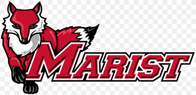 Marist College Marist Red Foxes Men's Basketball Marist Red Foxes Women's Basketball Marist Red Foxes Baseball Marist Red Foxes Football, PNG, 1200x581px, Marist College, Athletics, Basketball, Brand, Bucknell University Download Free