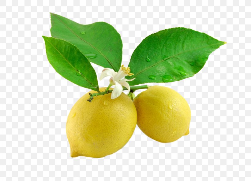 Sour Lemon Juice Kaffir Lime Leaf, PNG, 1024x740px, Sour, Citric Acid, Citroenolie, Citron, Citrus Download Free