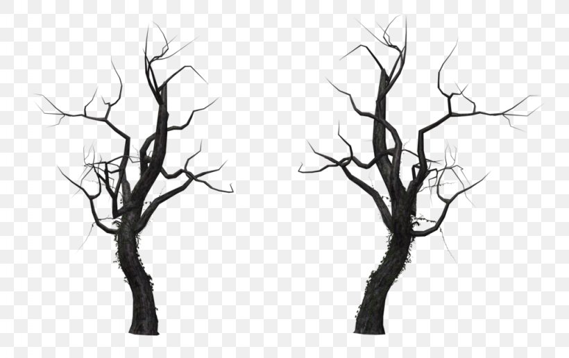 Tree Branch Snag, PNG, 1024x645px, Tree, Artwork, Black And White, Branch, Drawing Download Free