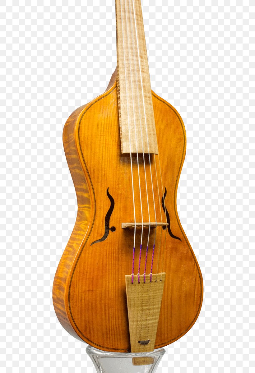 Bass Violin Violone Viola Bass Guitar Acoustic Guitar, PNG, 800x1200px, Watercolor, Cartoon, Flower, Frame, Heart Download Free