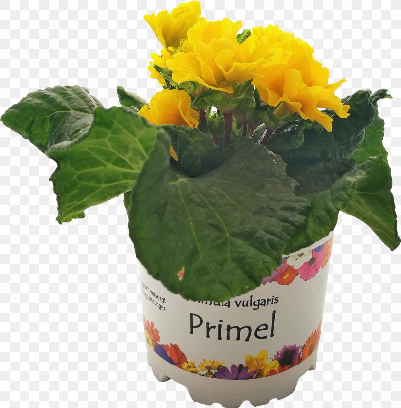 Cut Flowers Flowerpot Herb Flowering Plant, PNG, 1241x1265px, Cut Flowers, Flower, Flowering Plant, Flowerpot, Herb Download Free