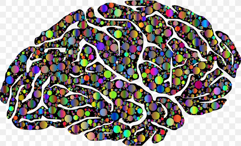 Memory And Brain Neuroscience Clip Art Vector Graphics, PNG, 2342x1420px, Brain, Cognitive Science, Development Of The Nervous System, Fashion Accessory, Human Brain Download Free