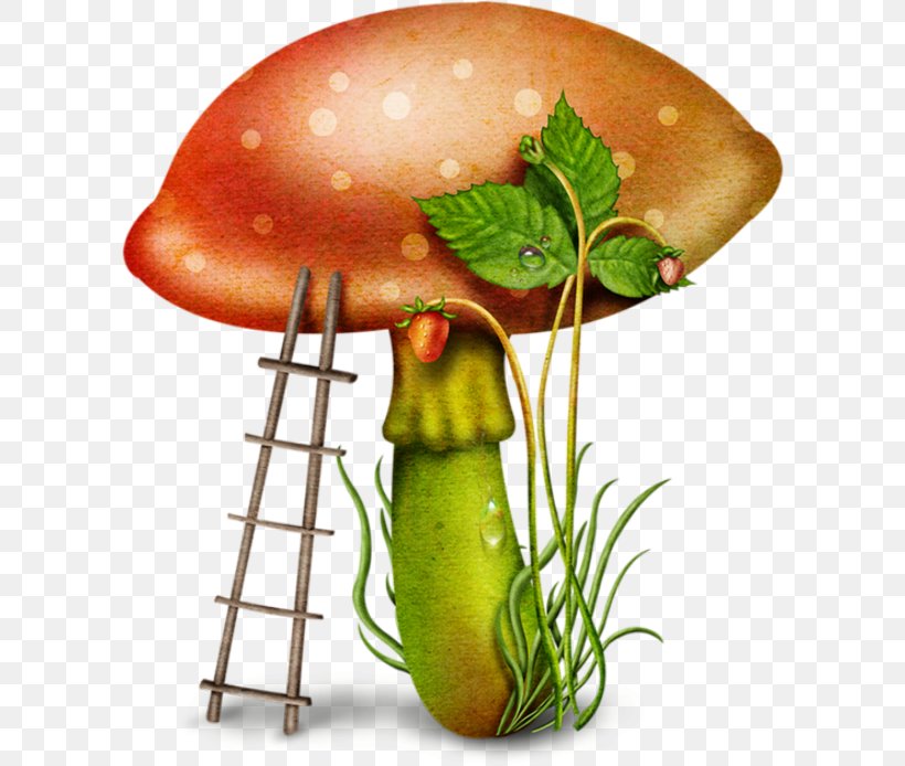 Mushroom Fungus Download Clip Art, PNG, 600x694px, Mushroom, Diet Food, Flowerpot, Food, Fruit Download Free