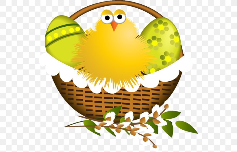 Easter Egg Background, PNG, 554x525px, Easter Bunny, Basket, Bird, Bird Of Prey, Cartoon Download Free