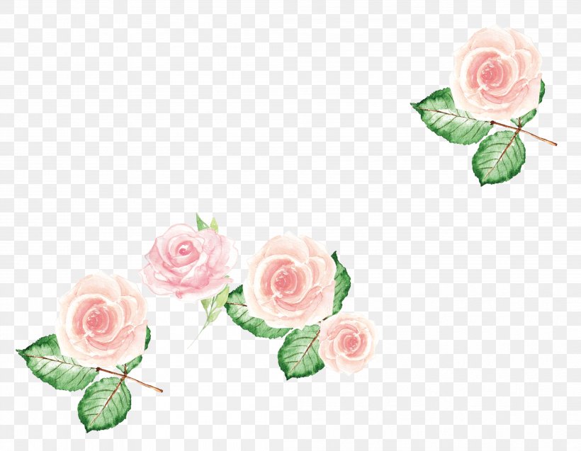 Garden Roses Centifolia Roses Pink Flower, PNG, 4201x3265px, Garden Roses, Centifolia Roses, Concepteur, Cut Flowers, Designer Download Free