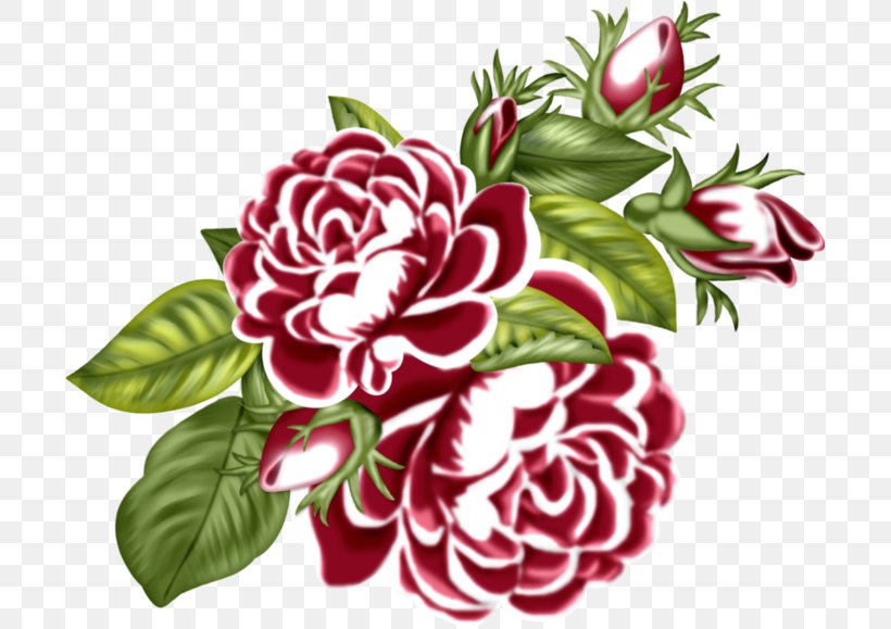 Garden Roses Flower Bouquet Floral Design Cut Flowers, PNG, 699x579px, Garden Roses, Annual Plant, Blog, Cabbage Rose, Carnation Download Free