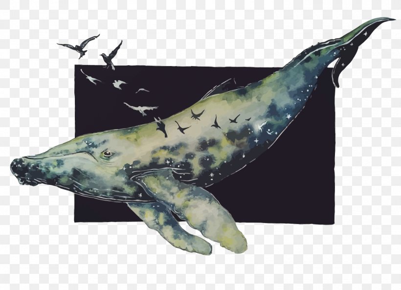 Baleen Whale Gulls, PNG, 1500x1085px, Baleen Whale, Animation, Cetacea, Deviantart, Fauna Download Free