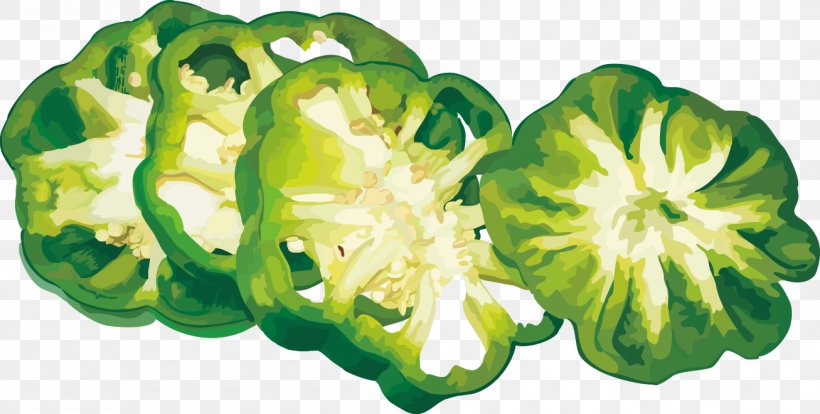 Bell Pepper Vegetable, PNG, 1307x660px, Bell Pepper, Auglis, Bell Peppers And Chili Peppers, Capsicum, Capsicum Annuum Download Free