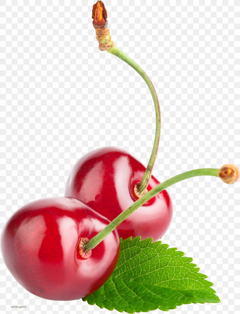 Cocktail Cherry Punch Berry Taste, PNG, 3305x4320px, Cocktail, Accessory Fruit, Acerola, Acerola Family, Aroma Download Free