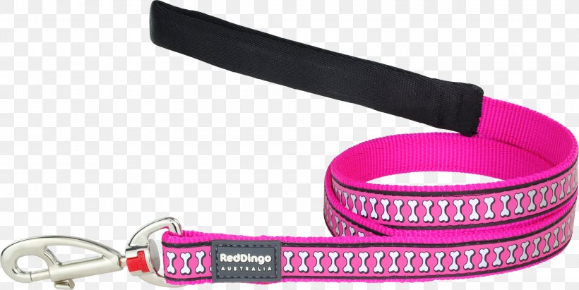 Dog Collar Dingo Leash Pet Tag, PNG, 3000x1505px, Dog, Cat, Collar, Dingo, Dog Collar Download Free