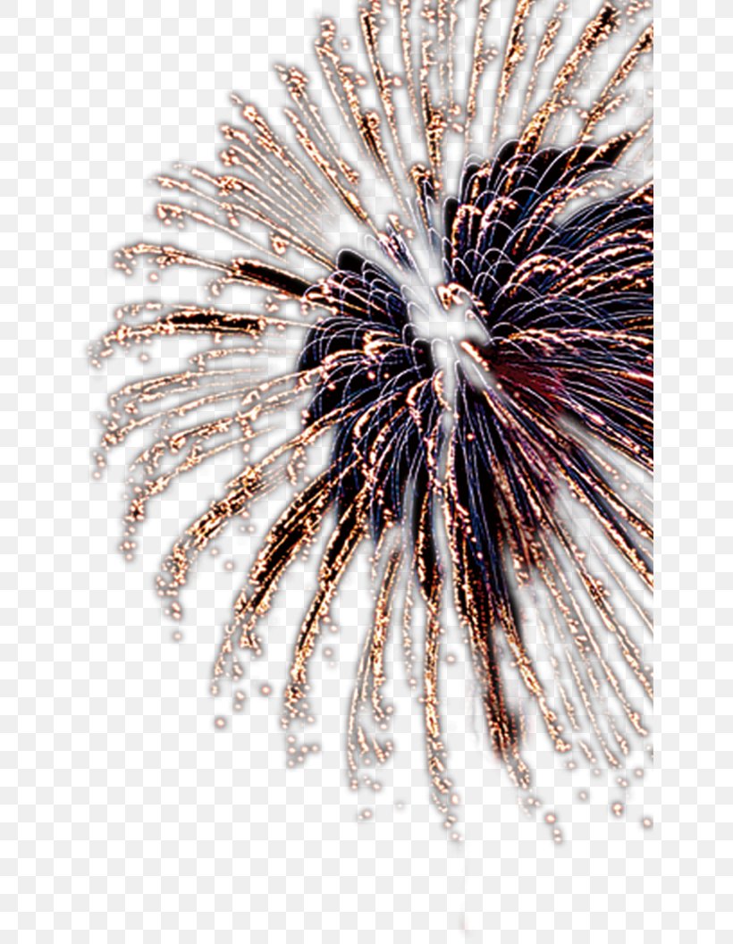 Fireworks Yellow, PNG, 643x1056px, Fireworks, Artificier, Black, Close Up, National Day Download Free