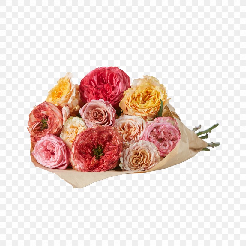 Garden Roses Cabbage Rose Floral Design Cut Flowers, PNG, 1800x1800px, Garden Roses, Artificial Flower, Cabbage Rose, Cut Flowers, Floral Design Download Free