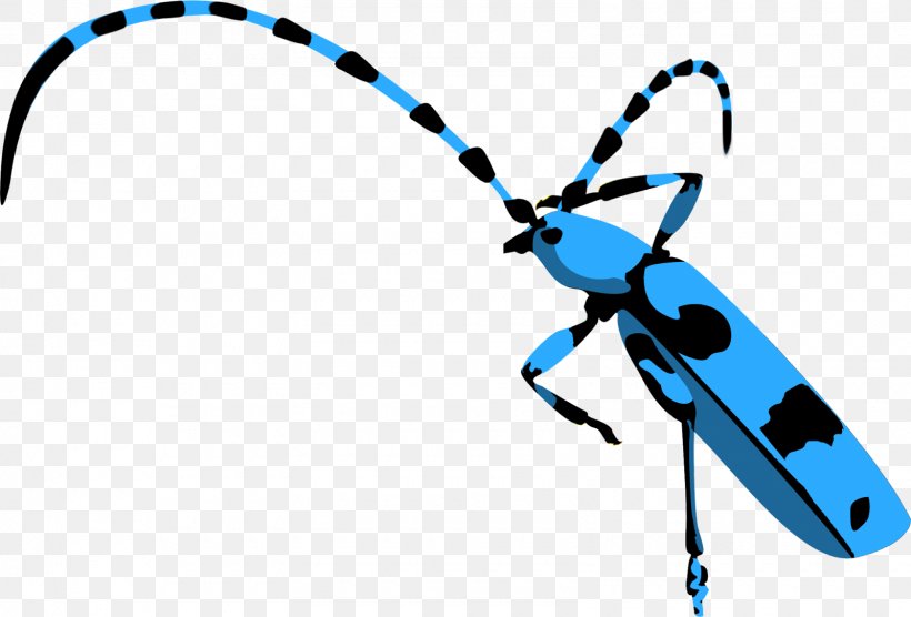 Insect Technology Clip Art, PNG, 1600x1086px, Insect, Audio, Blue, Electric Blue, Invertebrate Download Free