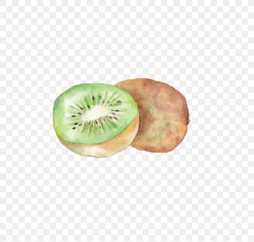 Kiwifruit Watercolor Painting, PNG, 725x782px, Kiwifruit, Actinidia Deliciosa, Drawing, Food, Fruit Download Free