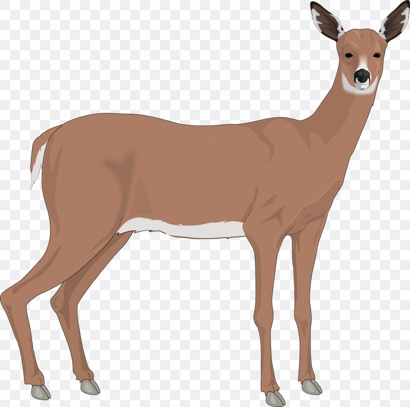 The White-tailed Deer Reindeer Clip Art, PNG, 1280x1272px, Deer, Antelope, Antler, Cuteness, Drawing Download Free