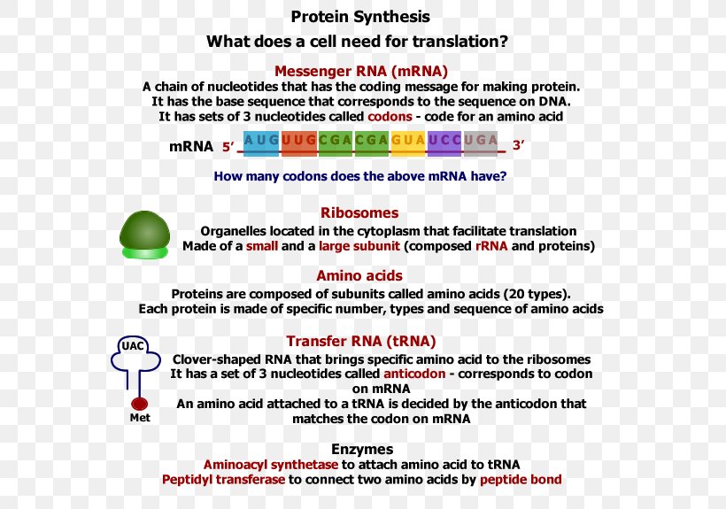 Web Page Computer Program Line, PNG, 600x575px, Web Page, Area, Brand, Computer, Computer Program Download Free