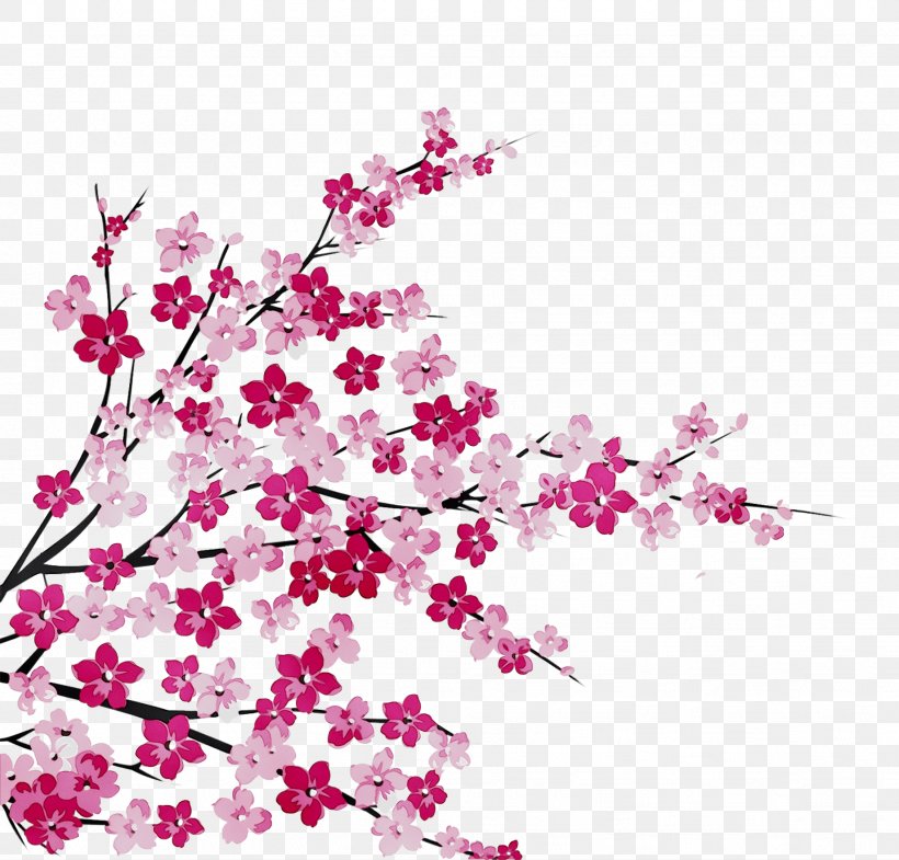 Cherry Blossom ST.AU.150 MIN.V.UNC.NR AD Design Flowering Plant Cherries, PNG, 1841x1763px, Cherry Blossom, Blossom, Branch, Cherries, Design M Download Free