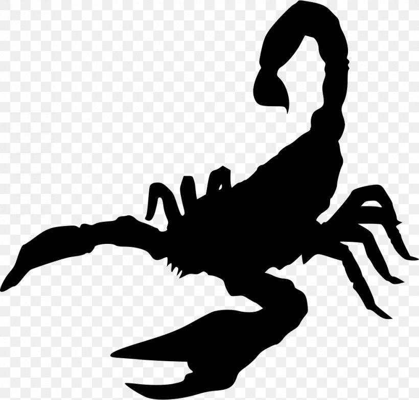 Scorpion Mouse Oil Deathstalker Ant, PNG, 980x938px, Scorpion, Animal, Ant, Artwork, Black And White Download Free
